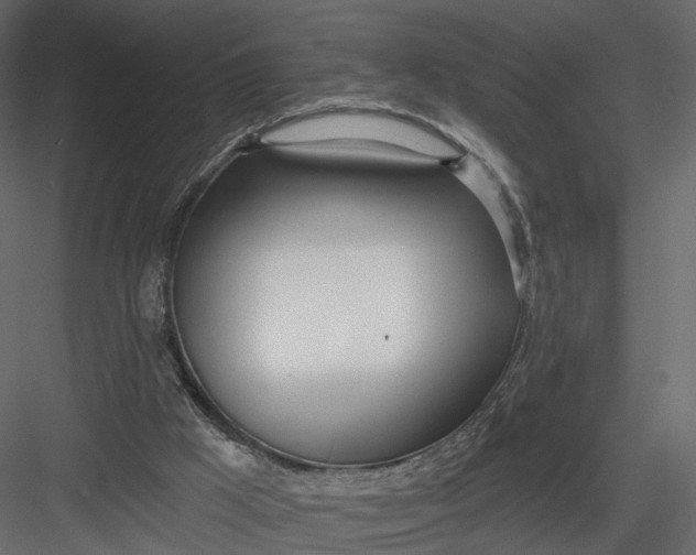 X0000083530009200702240030