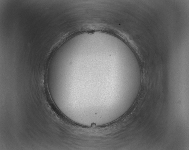 X0000083530010200702240030