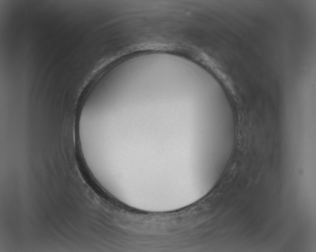 X0000083530011200702240030