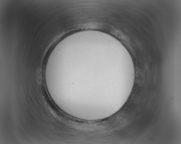 X0000083530012200702240030