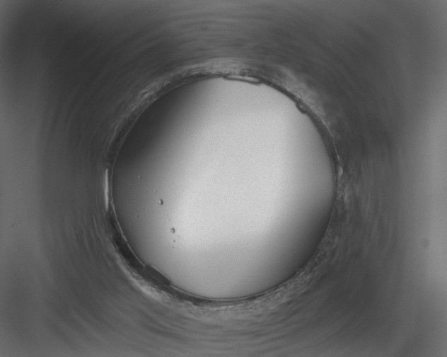 X0000083530013200702240030