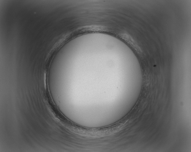 X0000083530014200702240030