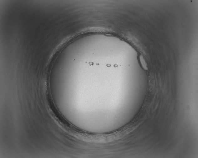 X0000083530015200702240030