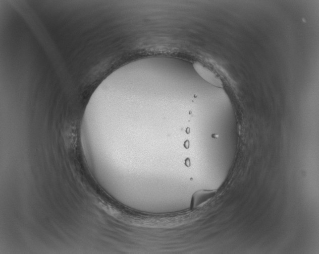 X0000083530017200702240030