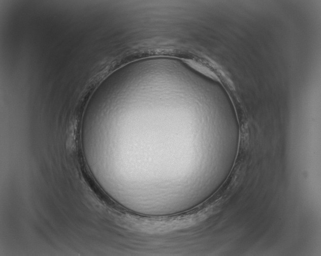 X0000083530018200702240030