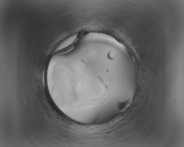 X0000083530019200702240030