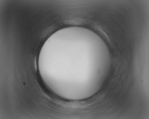 X0000083530020200702240030