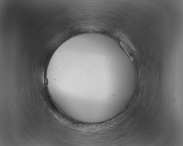 X0000083530021200702240030