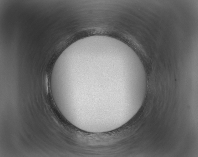 X0000083530022200702240030