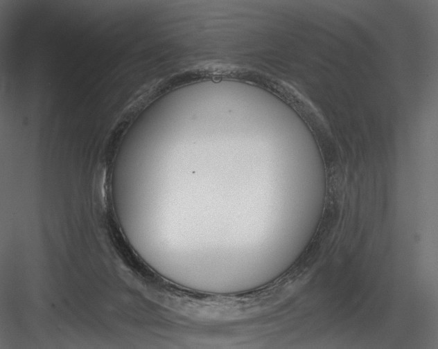 X0000083530024200702240030