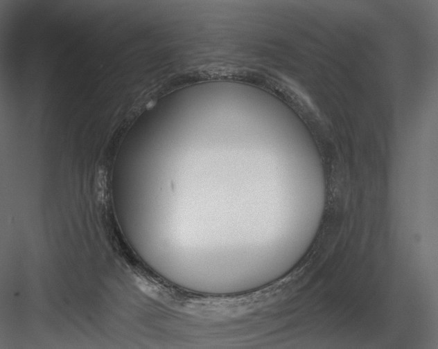 X0000083530025200702240030