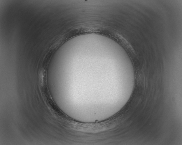 X0000083530026200702240030