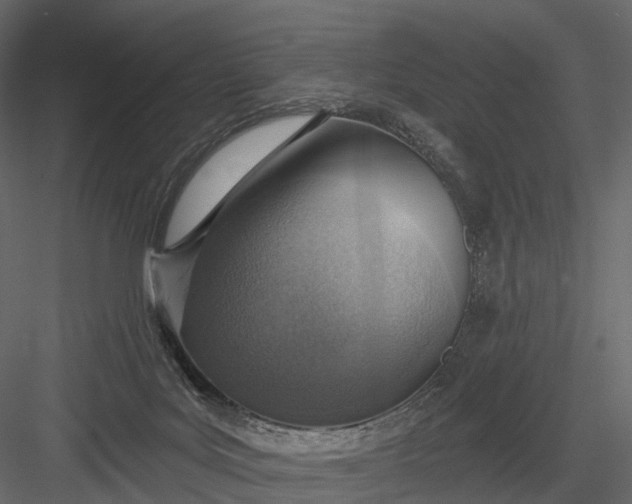 X0000083530027200702240030