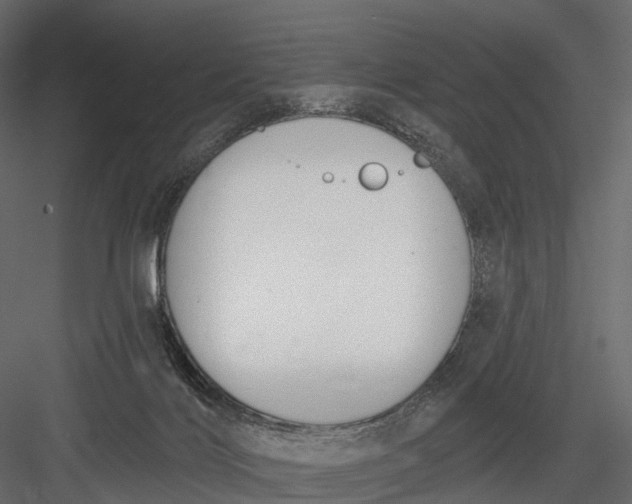 X0000083530028200702240030