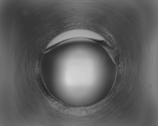 X0000083530029200702240030