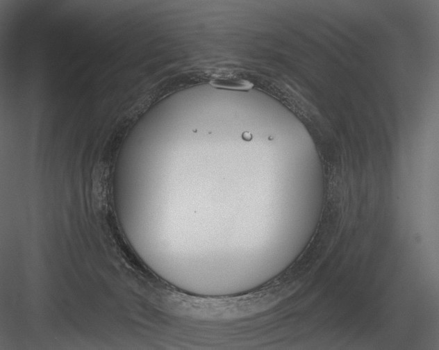 X0000083530030200702240030