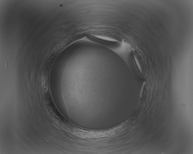 X0000083530031200702240030