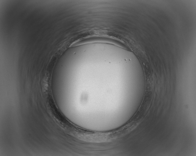 X0000083530032200702240030