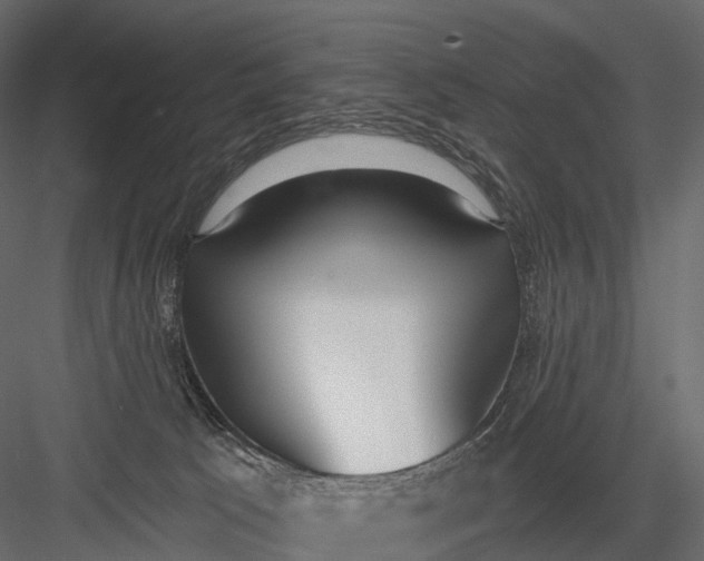 X0000083530033200702240030