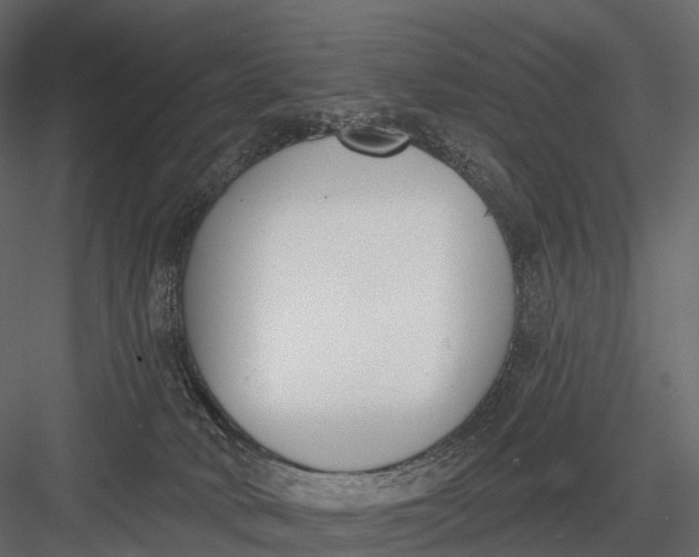 X0000083530034200702240030