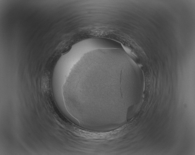 X0000083530035200702240030