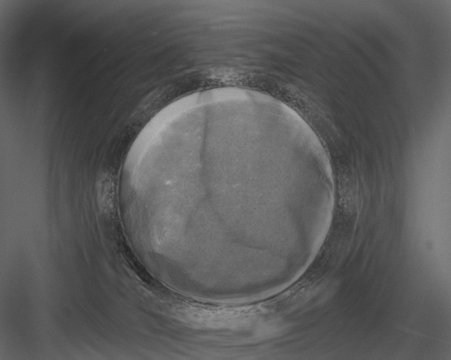 X0000083530036200702240030