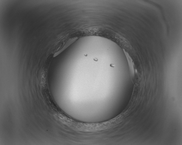 X0000083530037200702240030