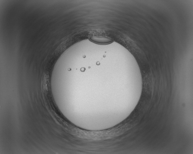 X0000083530038200702240030