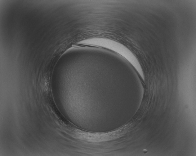 X0000083530039200702240030