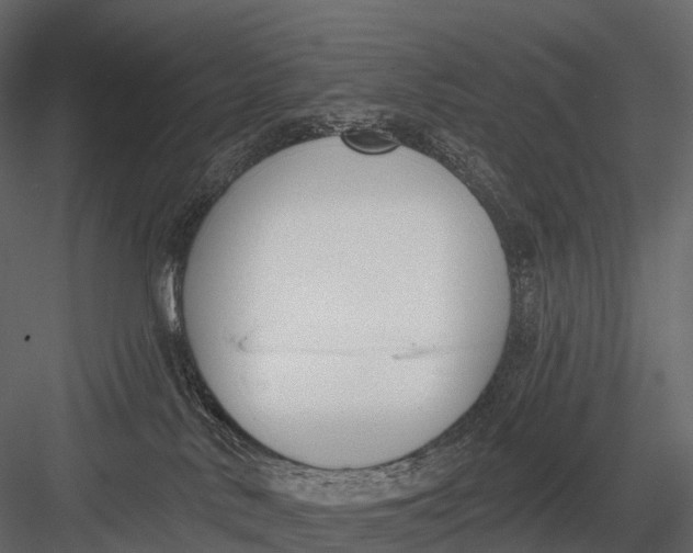 X0000083530042200702240030