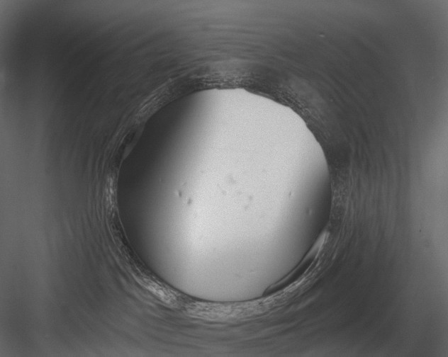 X0000083530045200702240030