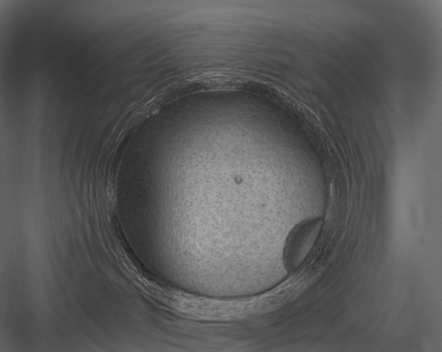 X0000083530048200702240030