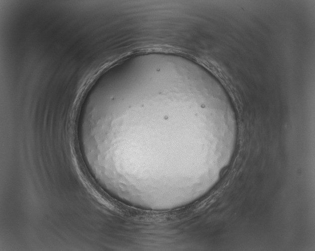 X0000083530049200702240029