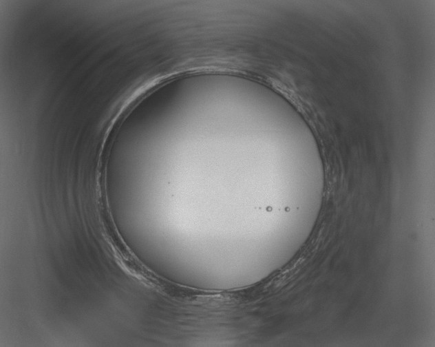 X0000083530050200702240029