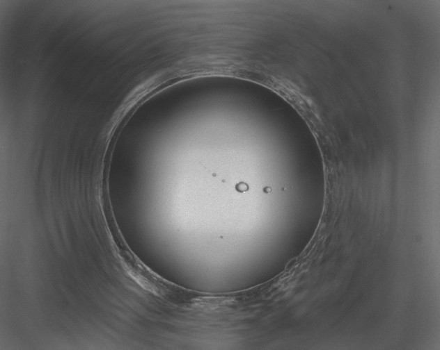 X0000083530051200702240029