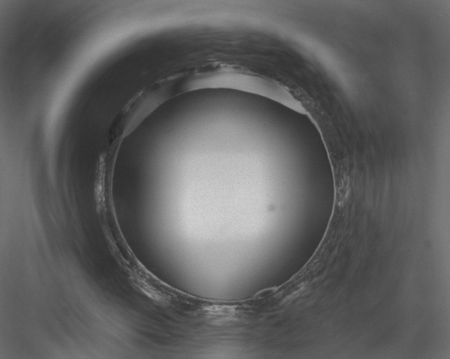 X0000083530052200702240029