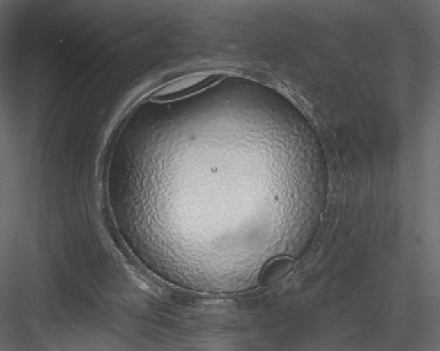 X0000083530053200702240029