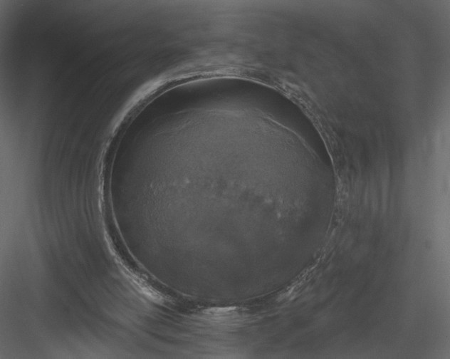 X0000083530054200702240029