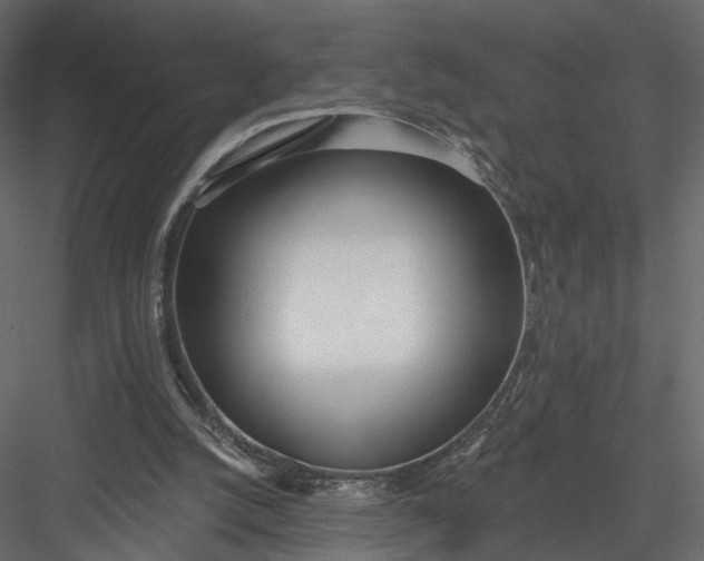 X0000083530056200702240029