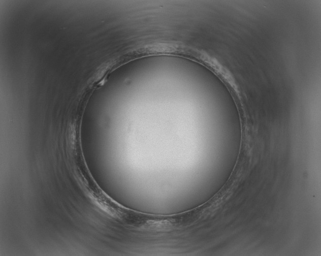 X0000083530057200702240029