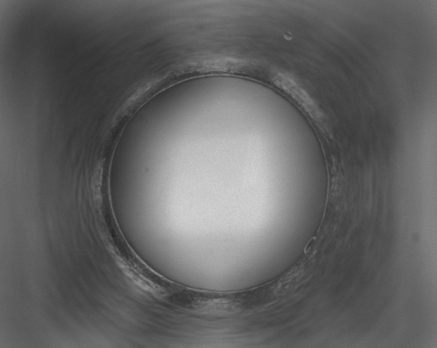 X0000083530058200702240029