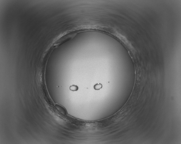 X0000083530060200702240029