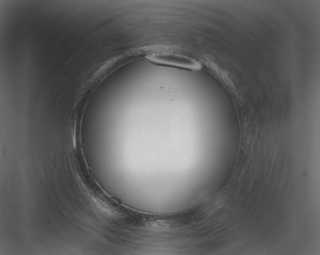 X0000083530062200702240029