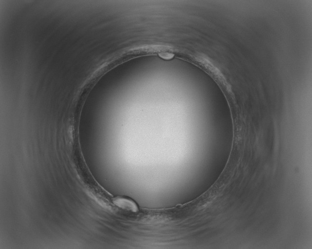 X0000083530063200702240029