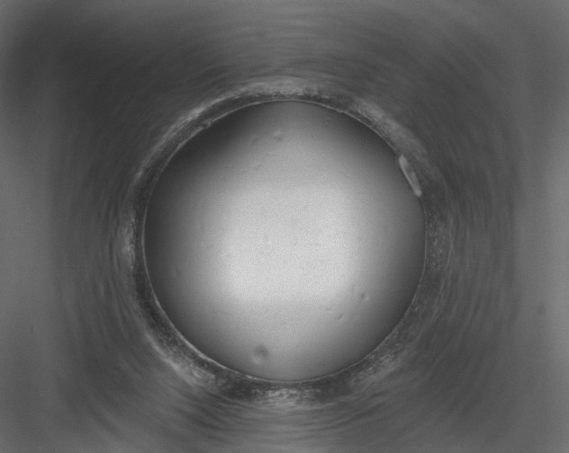 X0000083530064200702240029