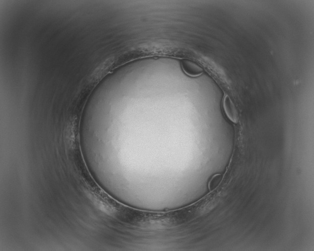 X0000083530065200702240029