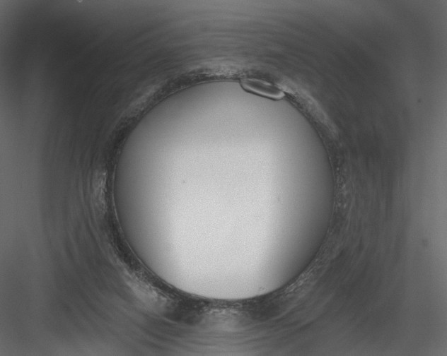 X0000083530066200702240029