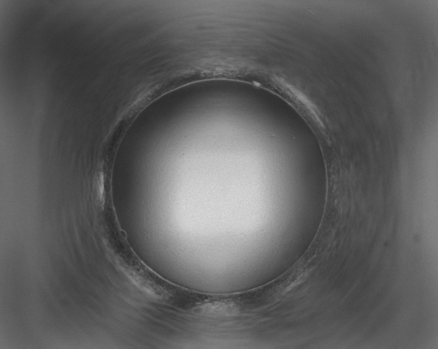 X0000083530067200702240029