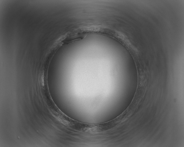 X0000083530068200702240029