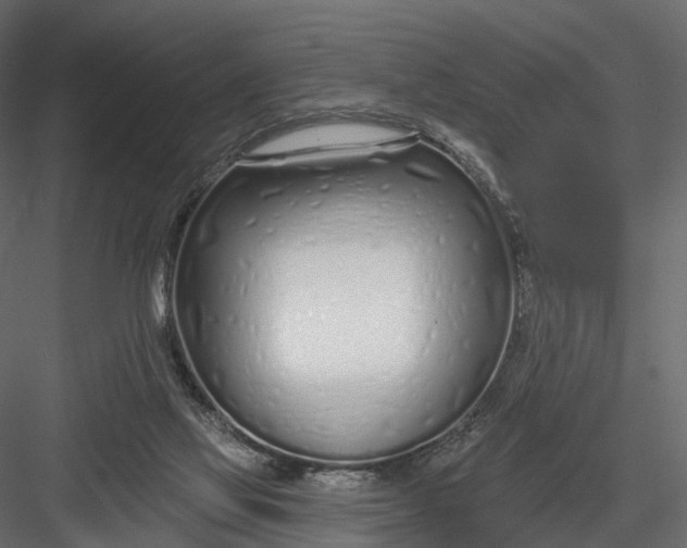 X0000083530069200702240029